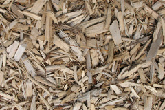 biomass boilers Tredaule