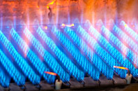 Tredaule gas fired boilers